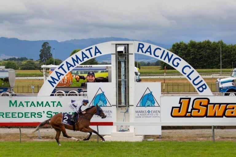 Matamata