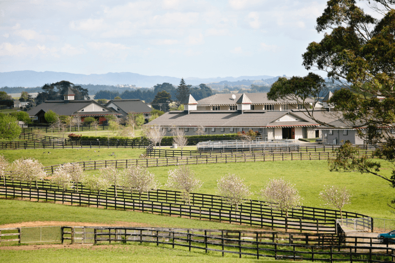 Westbury_Karaka